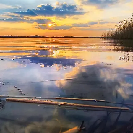 Fliedergarten - Charmante, Grosse *