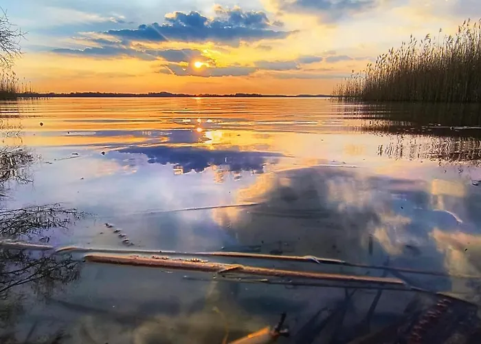 Fliedergarten - Charmante, Grosse *